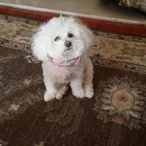 Meet your Posher, Donna